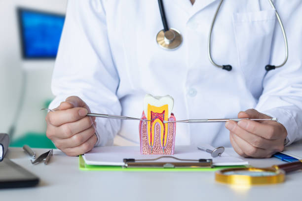 Best Emergency Gum Pain Relief  in Mclean, VA